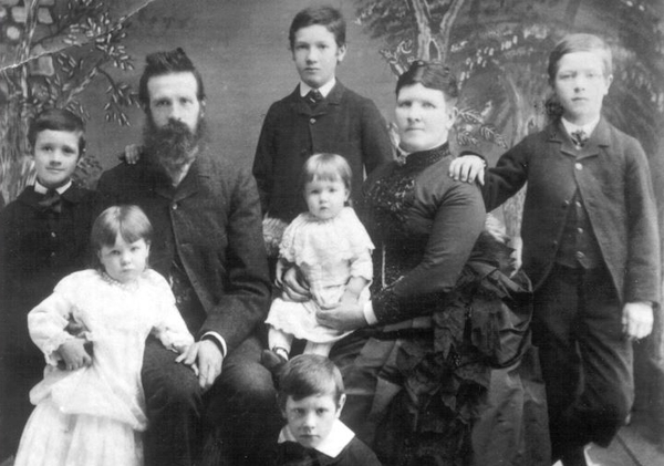 Image of the Bird Family